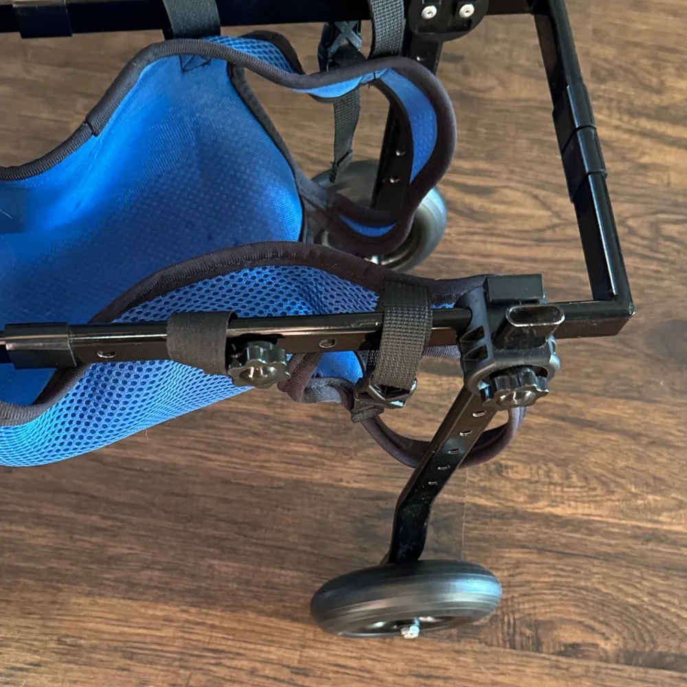 Dog Wheelchair Harness with Black Straps